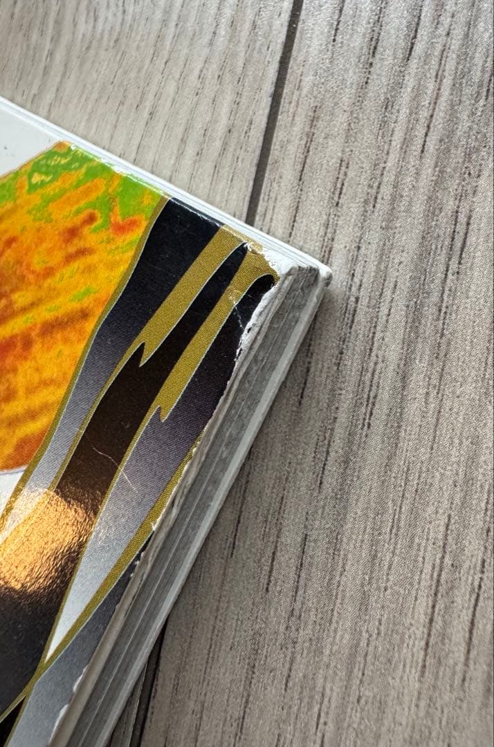 【限定盤】ブッダブランド／病める無限のブッダの世界　ベスト盤　LPサイズジャケ