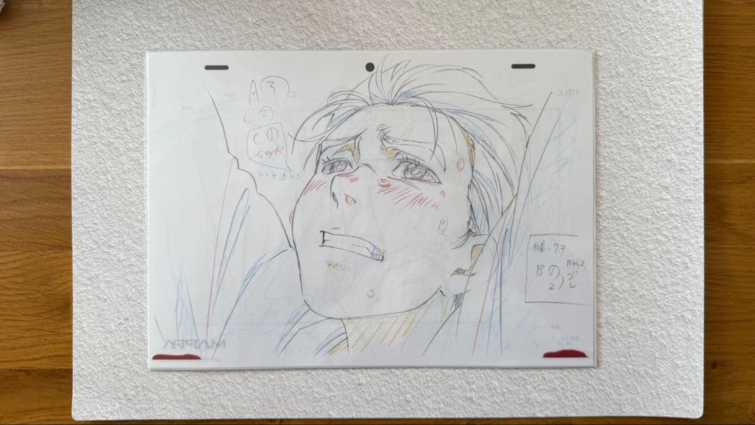 ユーリ!!! on ICE SELECT BOOK 原画集 特典複製原画付き