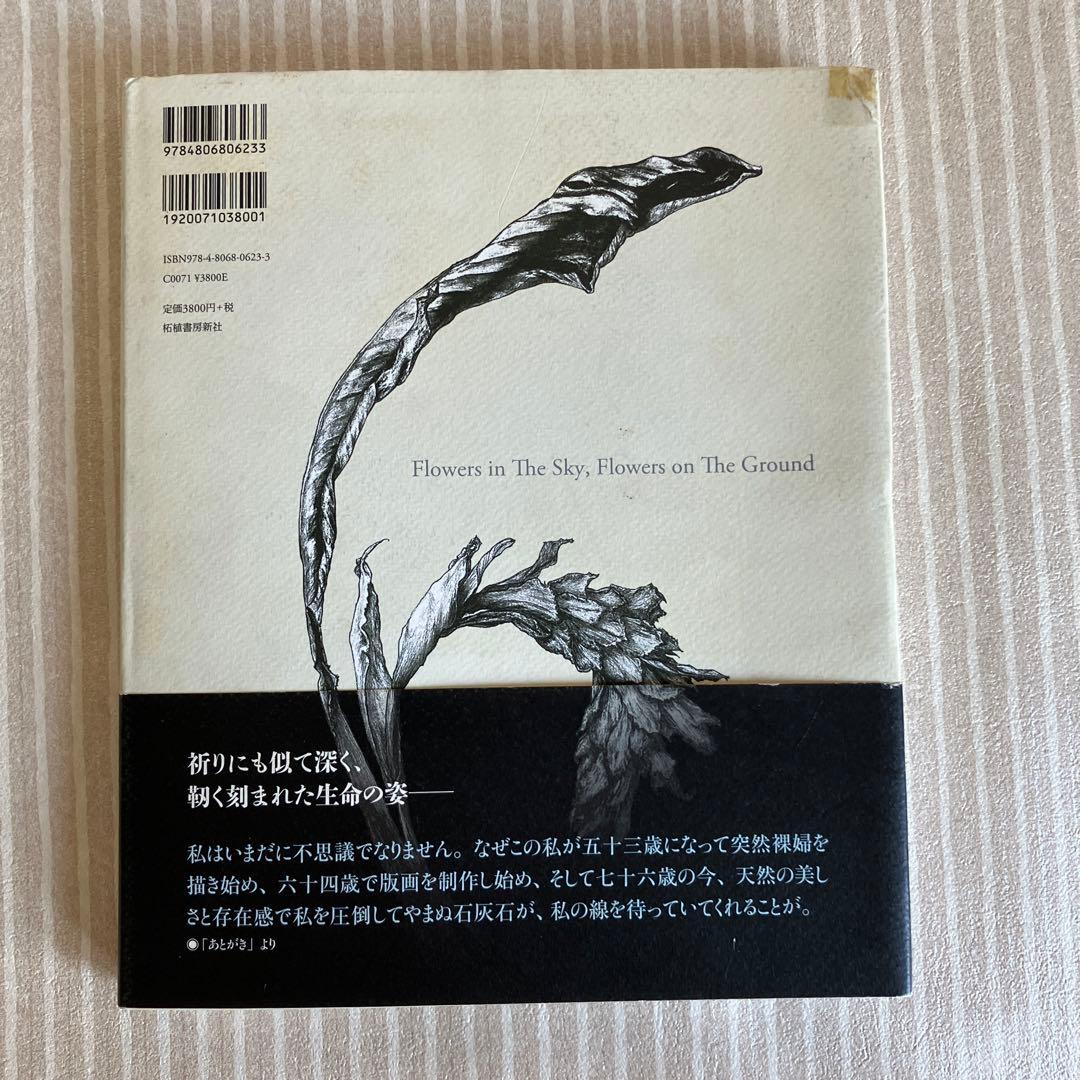 五木玲子画集　天の花　地の花