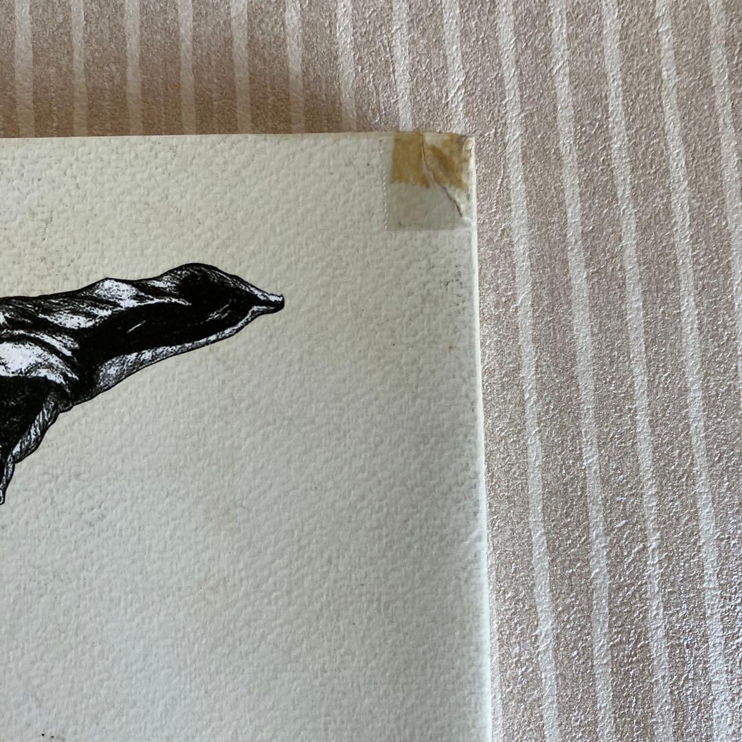 五木玲子画集　天の花　地の花