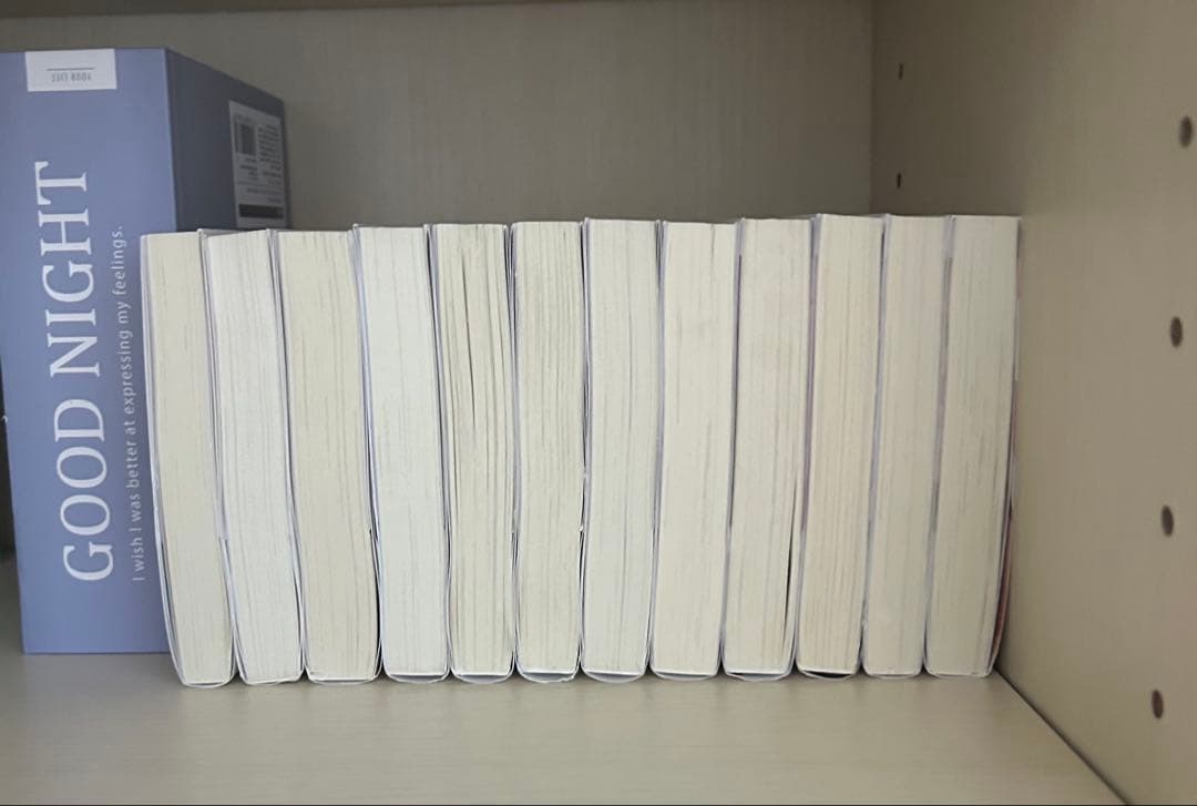 【美品】時々ボソッとロシア語でデレる隣のアーリャさん小説＋漫画