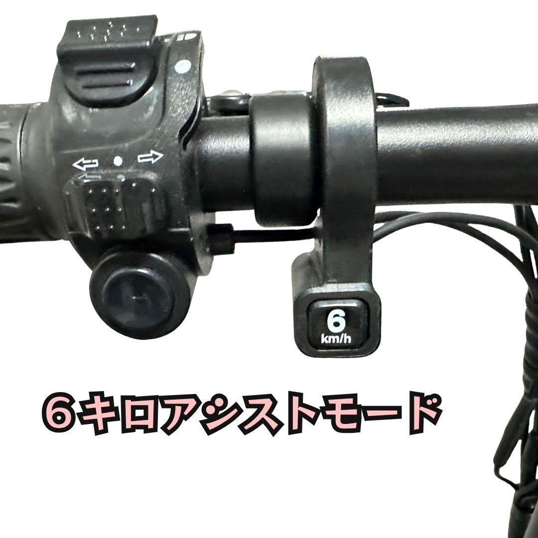 早者勝！大阪電動アシスト自転車DXカスタム改48V防犯機能　関西