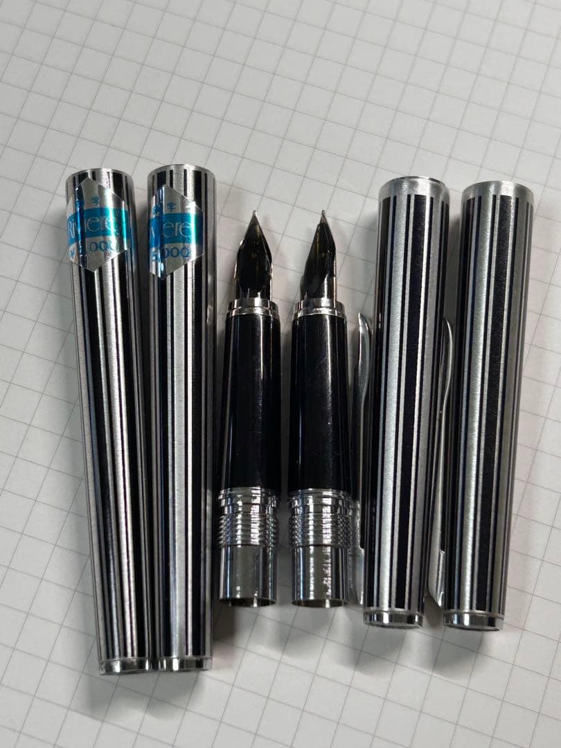 プラチナ万年筆 Riviere リヴィエール 18K WG 食刻 縦柄 廃盤