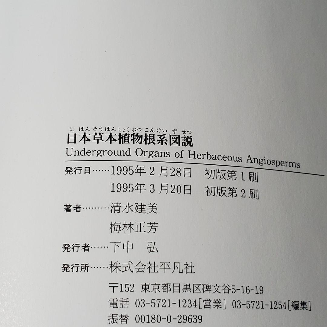 日本草本植物根系図説