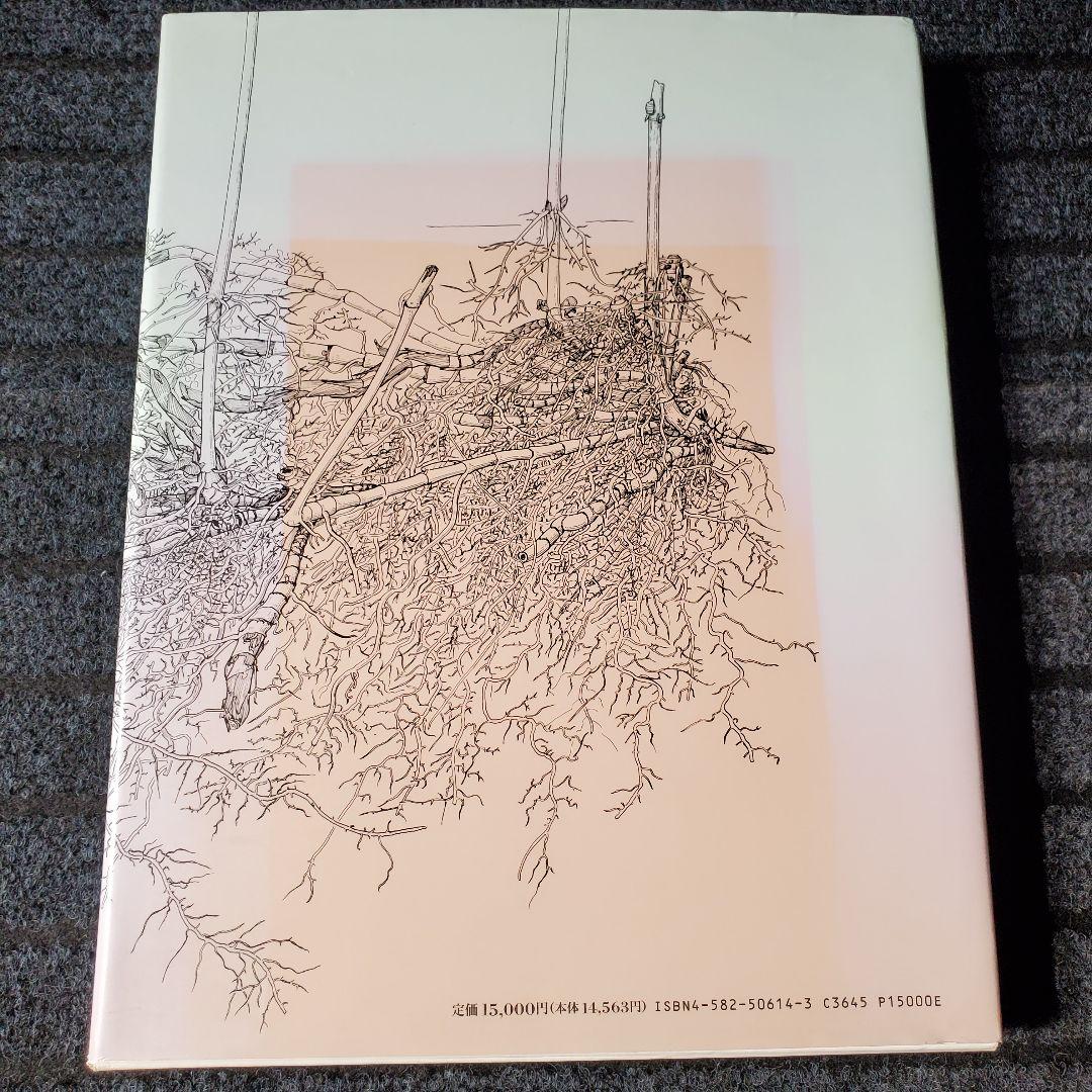 日本草本植物根系図説