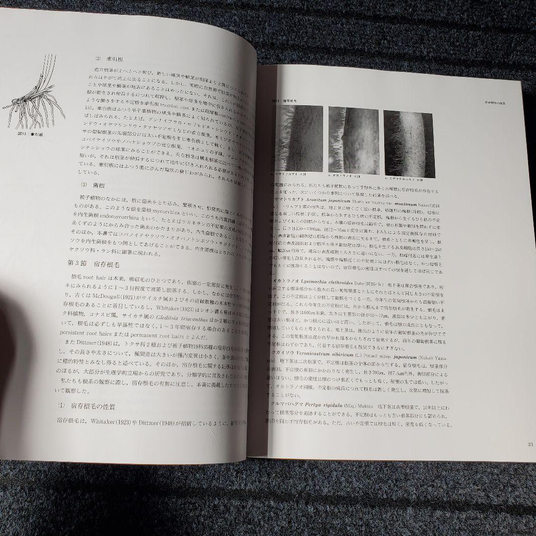 日本草本植物根系図説