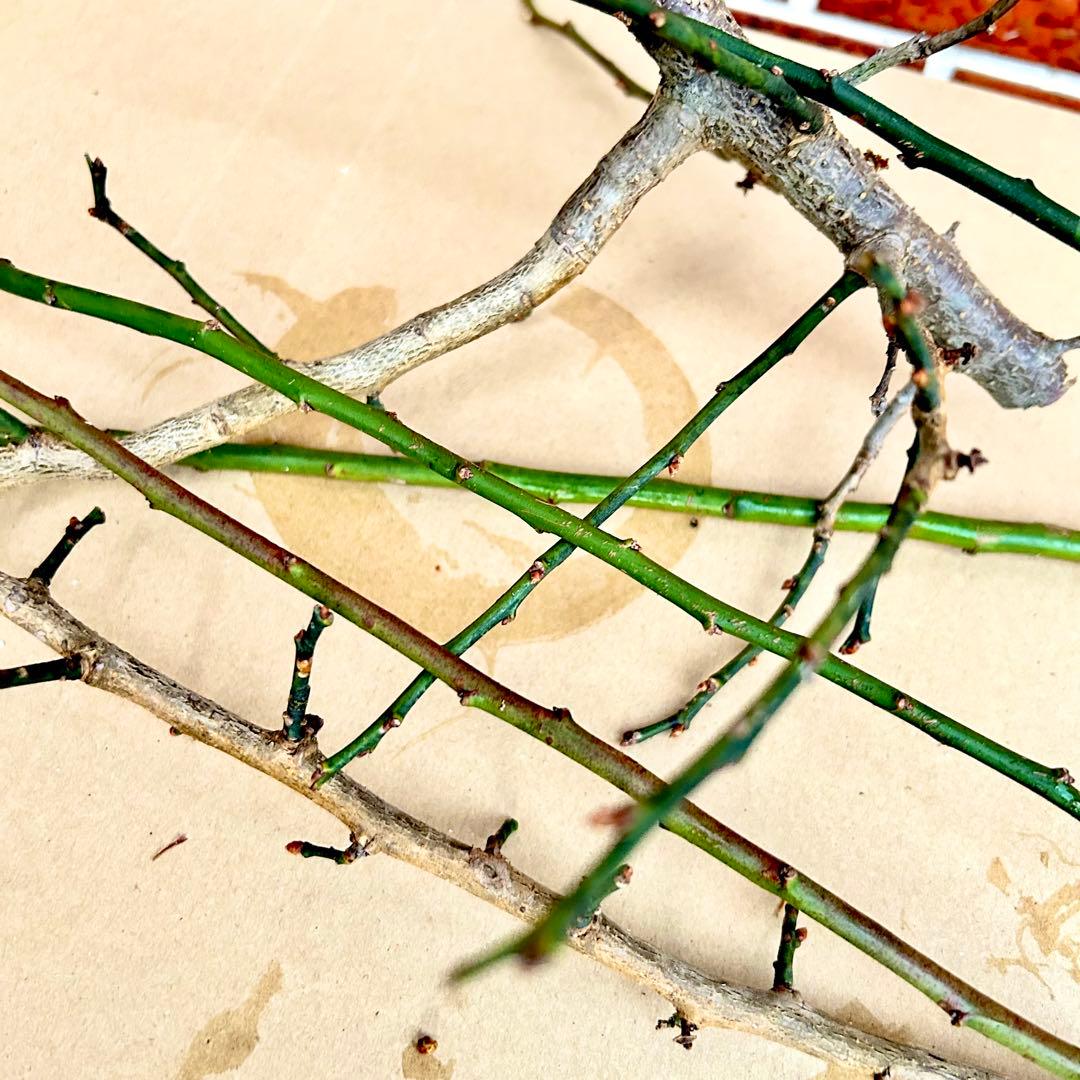 門松 ハンドメイド 世界で一点物 無農薬 自然素材 大一対2個 お正月