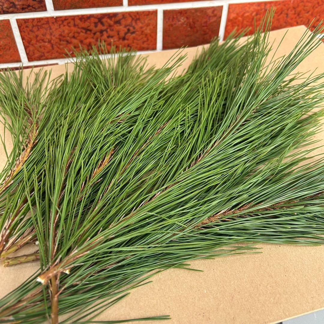 門松 ハンドメイド 世界で一点物 無農薬 自然素材 大一対2個 お正月