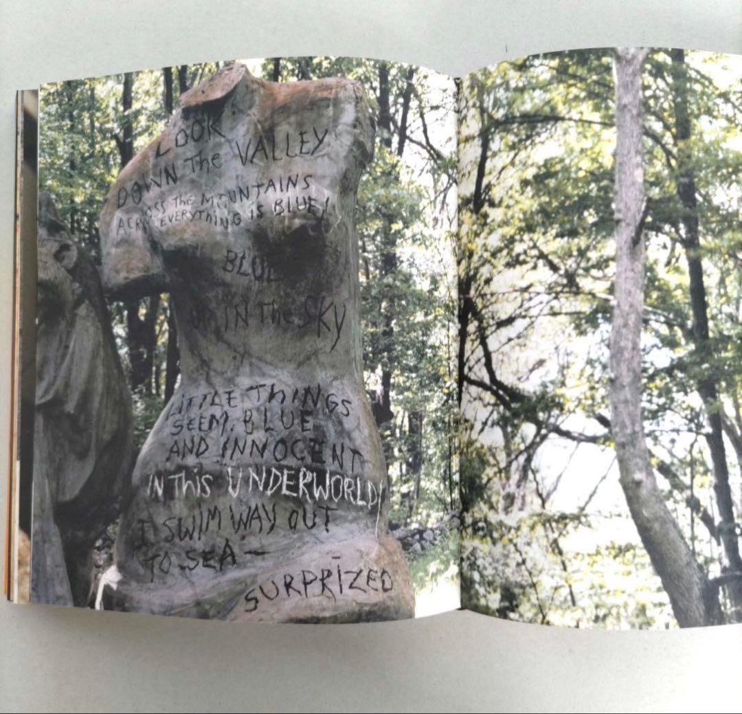 JIM DINE ジム・ダイン /作品集 ポップアート 洋書