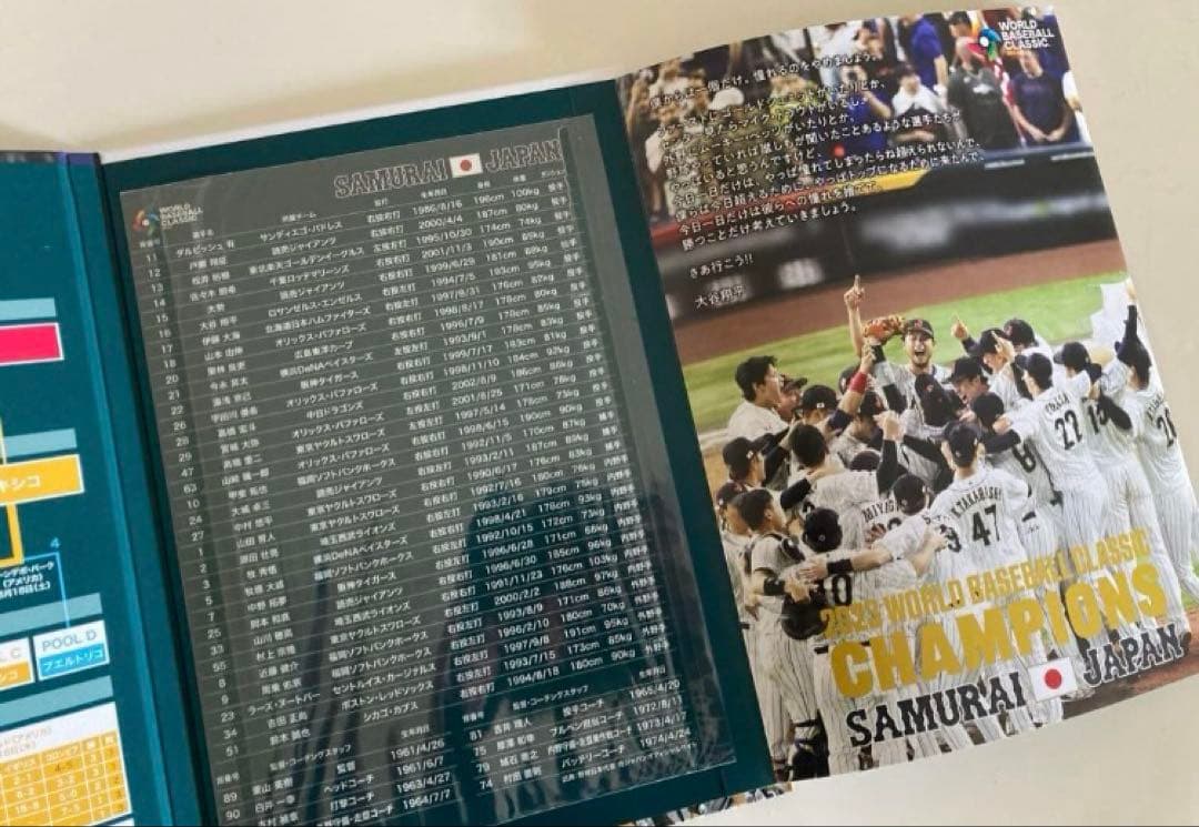 大谷翔平 MVP／WBC優勝／ホームラン プレミアムフレーム