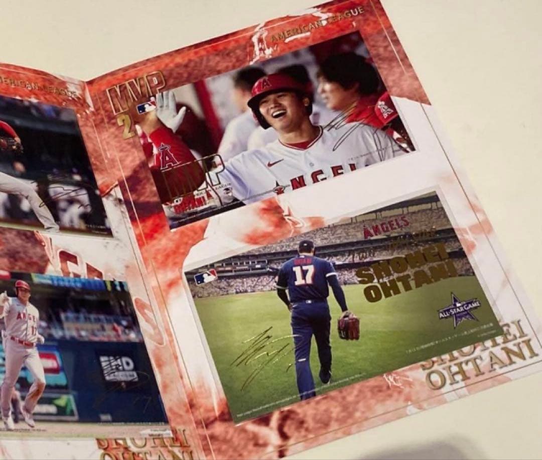 大谷翔平 MVP／WBC優勝／ホームラン プレミアムフレーム