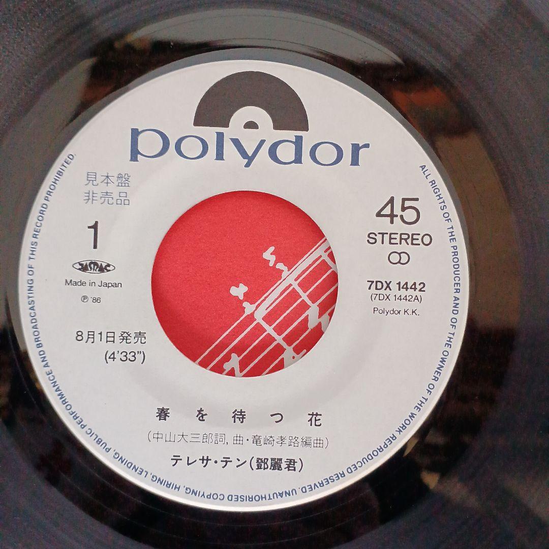 テレサ・テン　春を待つ花　レコード見本盤　匿名配送　 見本盤(非売品)　匿名配送