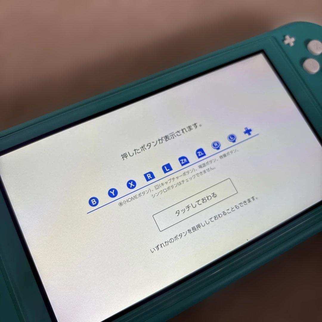 Switch Lite本体と充電器