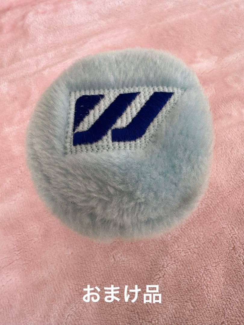 アイアンとドライバーのクラブセット 10本、写真でご確認下さい、即購入可