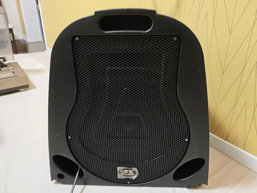 CLASSIC PRO PAEZ クラシックプロ 簡易PAセット PAシステム