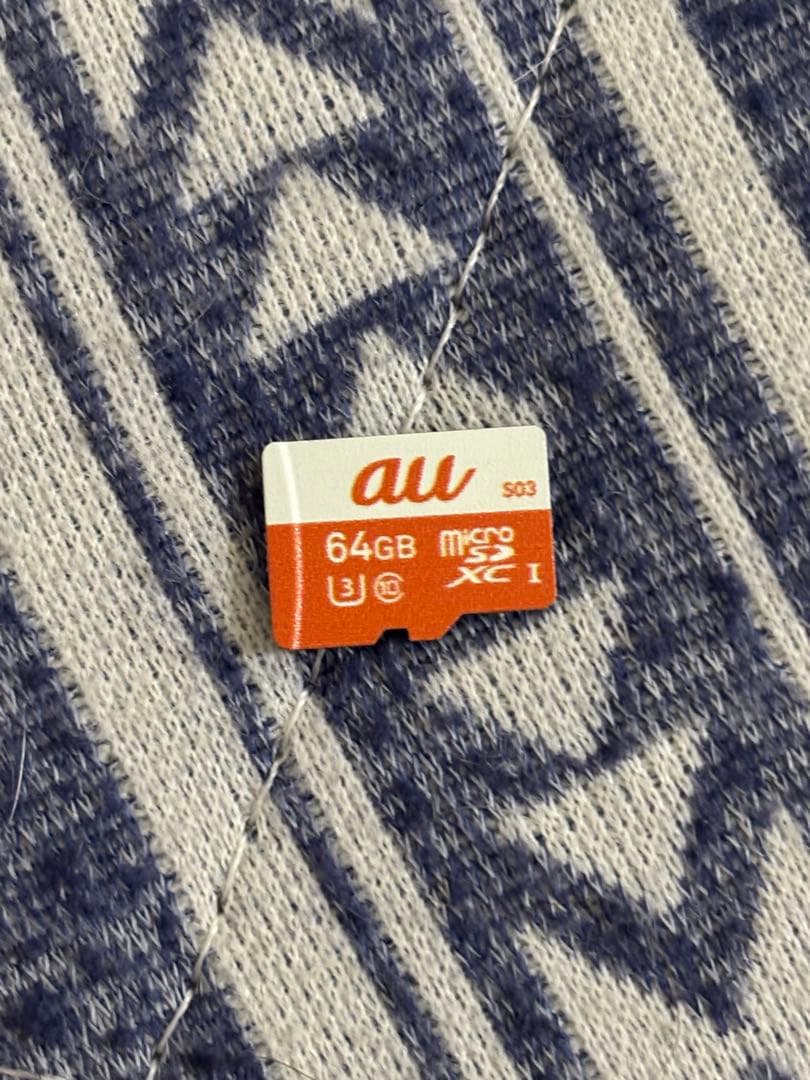 ​Switch あつまれどうぶつの森セット 64GB SD ケース　バッグ　攻略