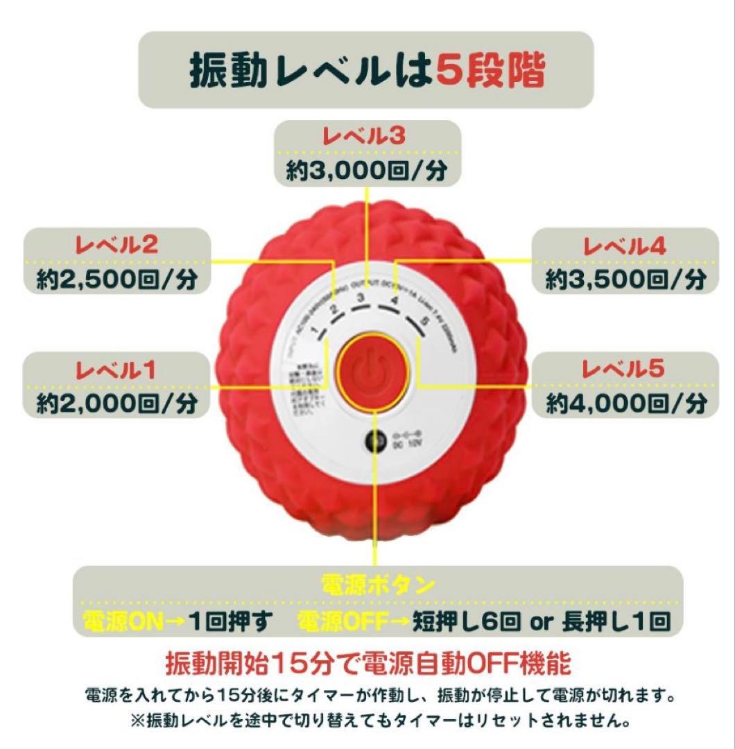 シェイプツインボール　ルネサンス　スポーツオアシス STB-100