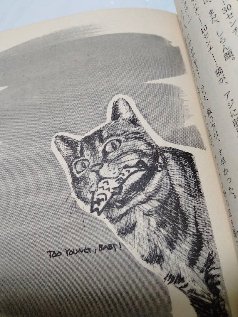 天使のアッパーカット上下 喜多嶋隆 吉田まゆみ 暴力学園 復讐パンチ ボクシング