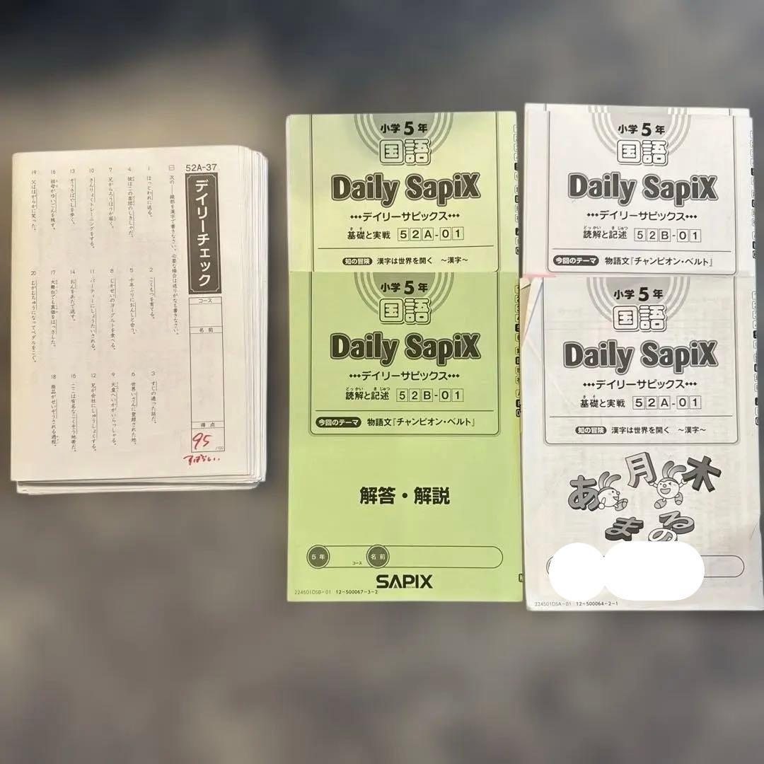 1個目SAPIXサピックス最新小学5年生2024年度一年分フルセット欠け番なし