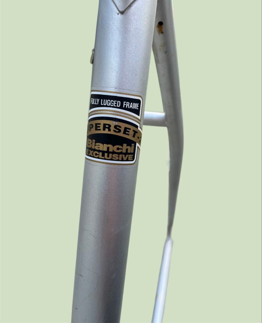 【希少90s】Bianchi PEREGRINE フレームセット オールドMTB