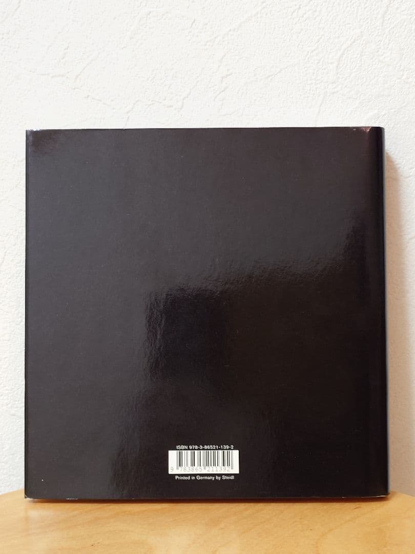 SAUL LEITER Early Color 英語版