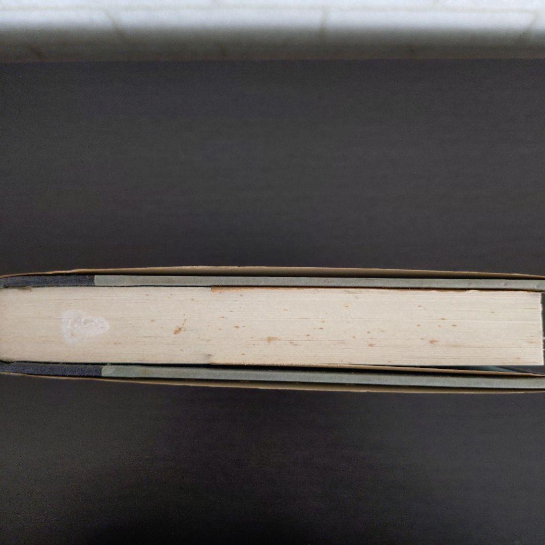 洋書 APortrait:William Burroughs/ Barry Miles