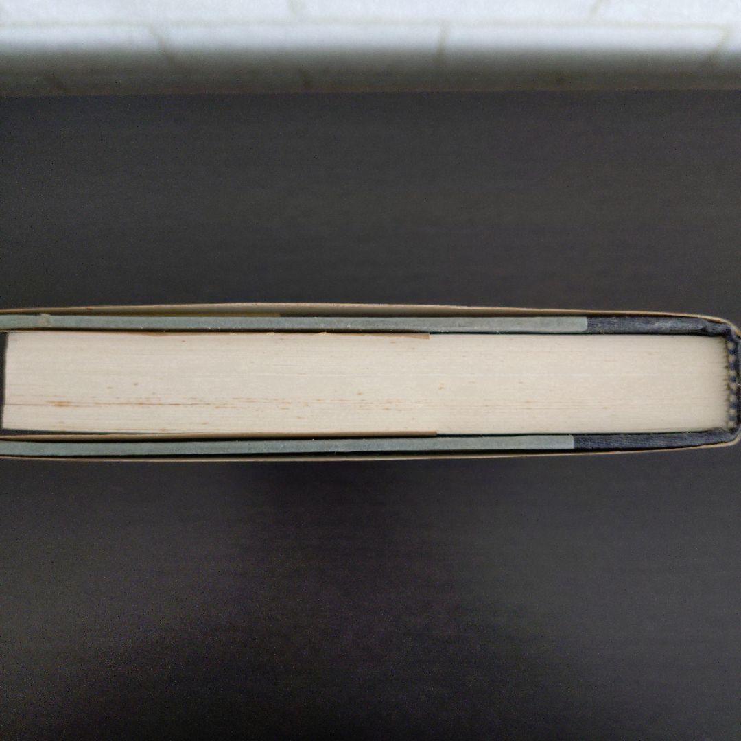 洋書 APortrait:William Burroughs/ Barry Miles