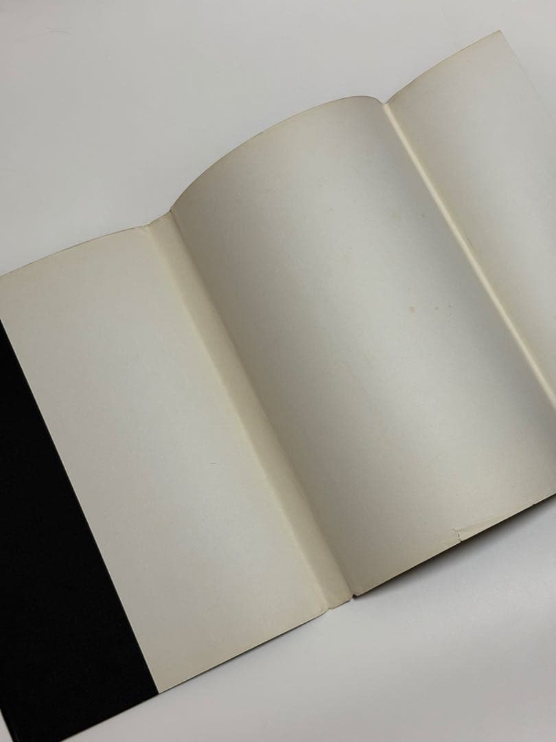 『 デニス・ホッパー写真集 / OUT OF THE SIXTIES 』