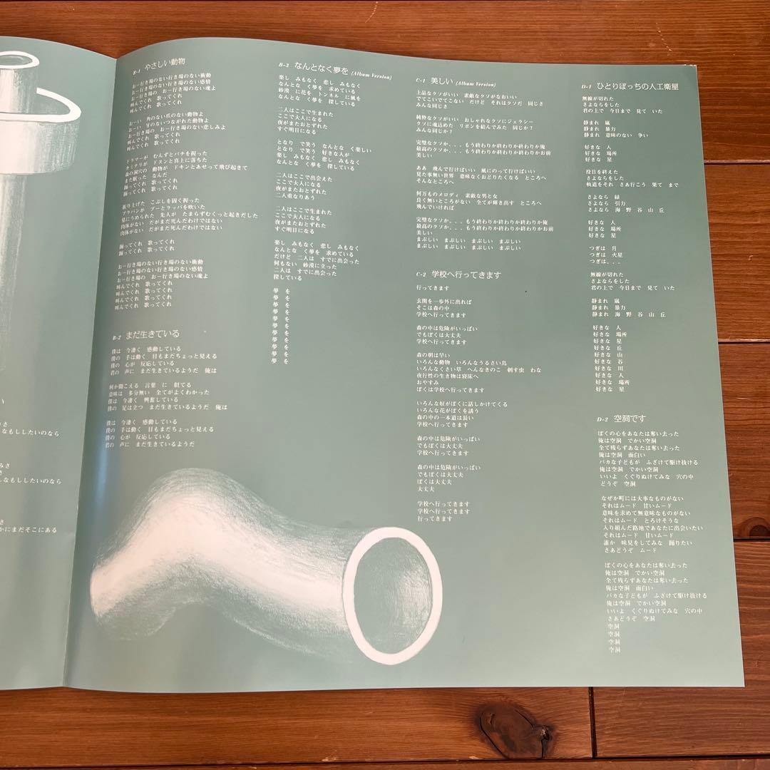 ゆらゆら帝国 空洞です Hollow Me 2LP レコード