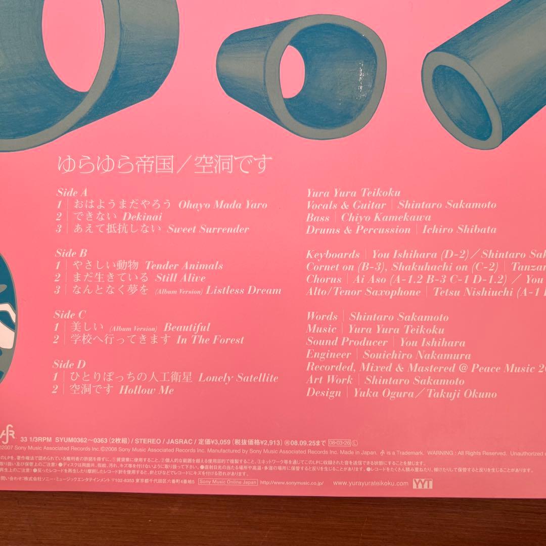 ゆらゆら帝国 空洞です Hollow Me 2LP レコード