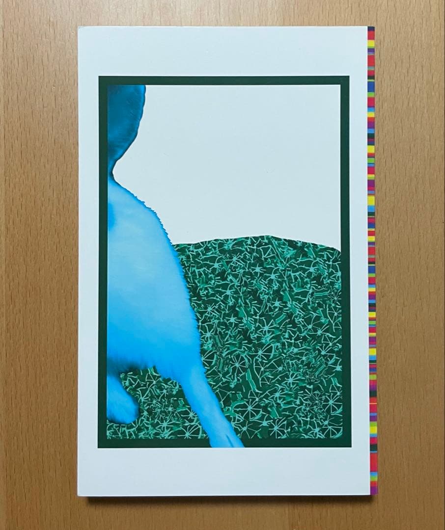 小沢健二 うさぎ セット売り 文学のテクノロジー 魔法的 子供と昔話 希少本