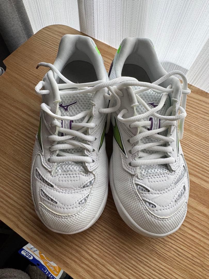 ミズノ ウェーブファングPRO 22.0