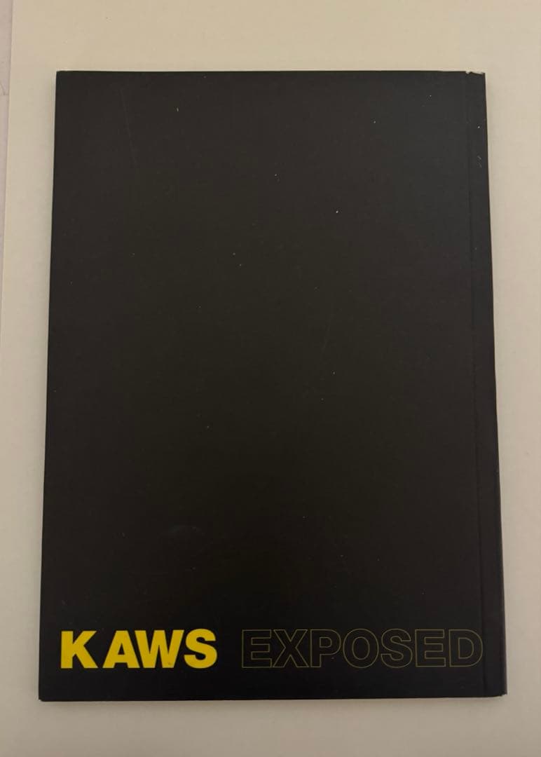 アート・デザイン・音楽 KAWS EXPOSED BOOK