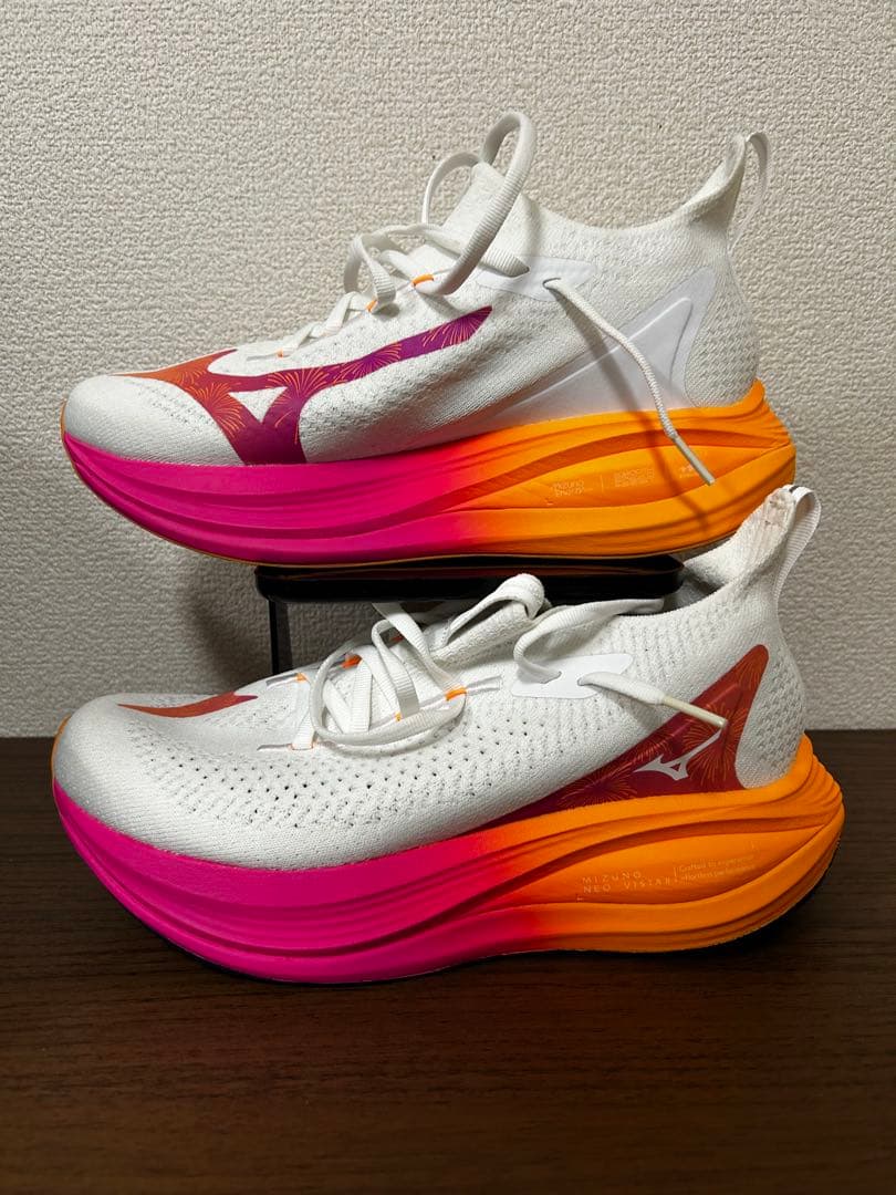 MIZUNO ネオビスタ2 [M 25cm]