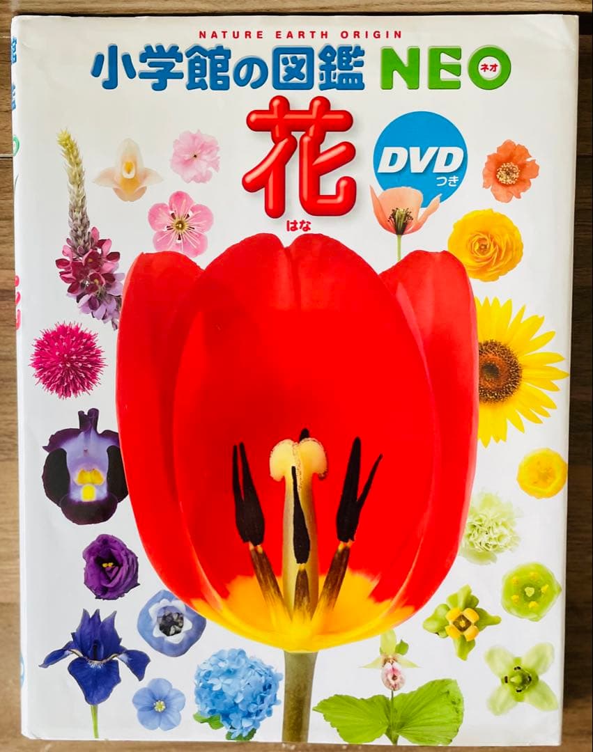 小学館の図鑑NEO　10冊セット