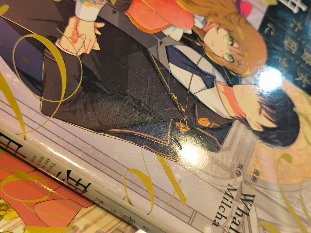 (初版)彼女が公爵邸に行った理由 1〜14　全巻