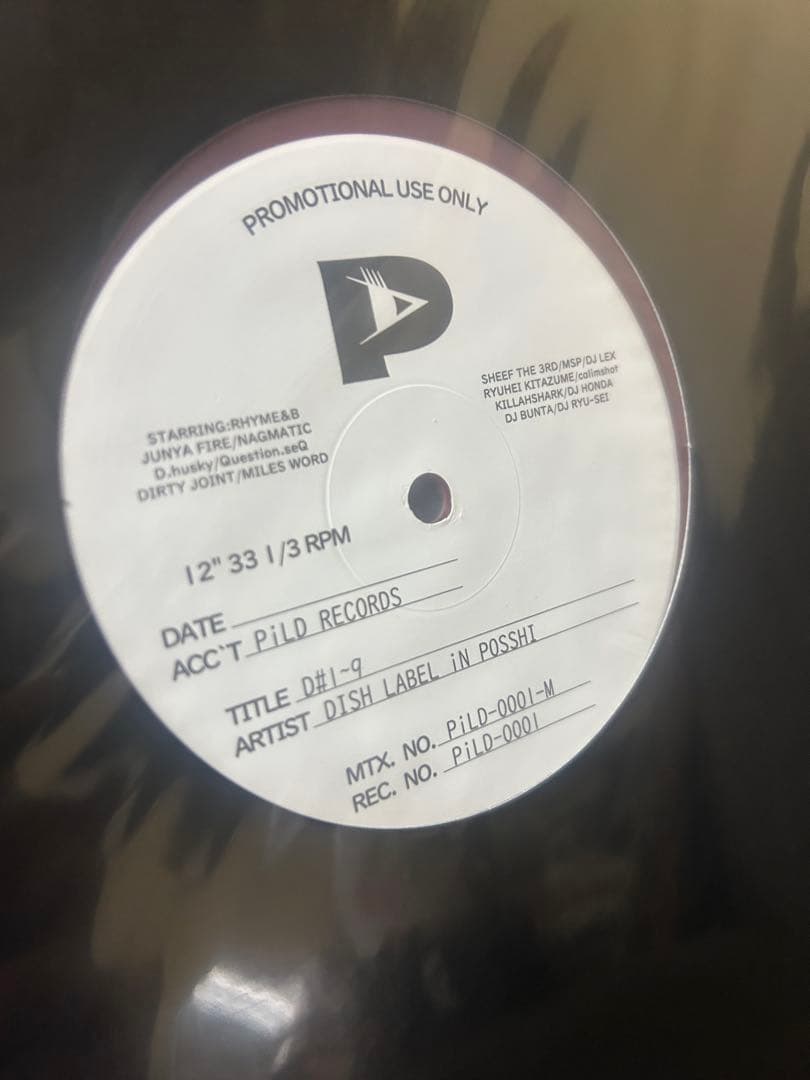 DISH LABEL IN POSSIBL 未開封　DLiP RECORDS