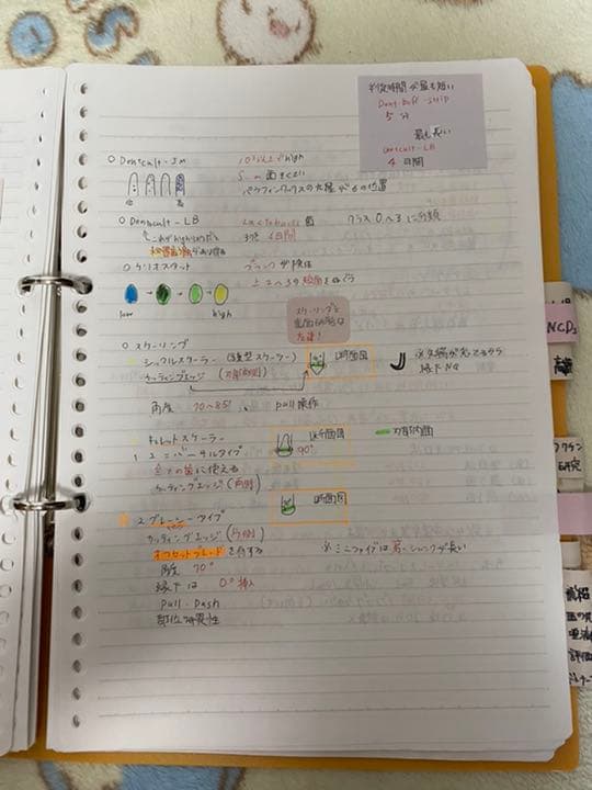 歯科衛生士国家試験対策ノート