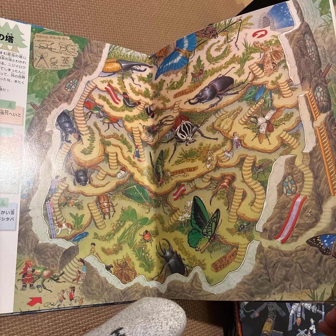 香川元太郎の迷路シリーズ絵本　全12冊セット　スポーツの迷路　乗り物の迷路