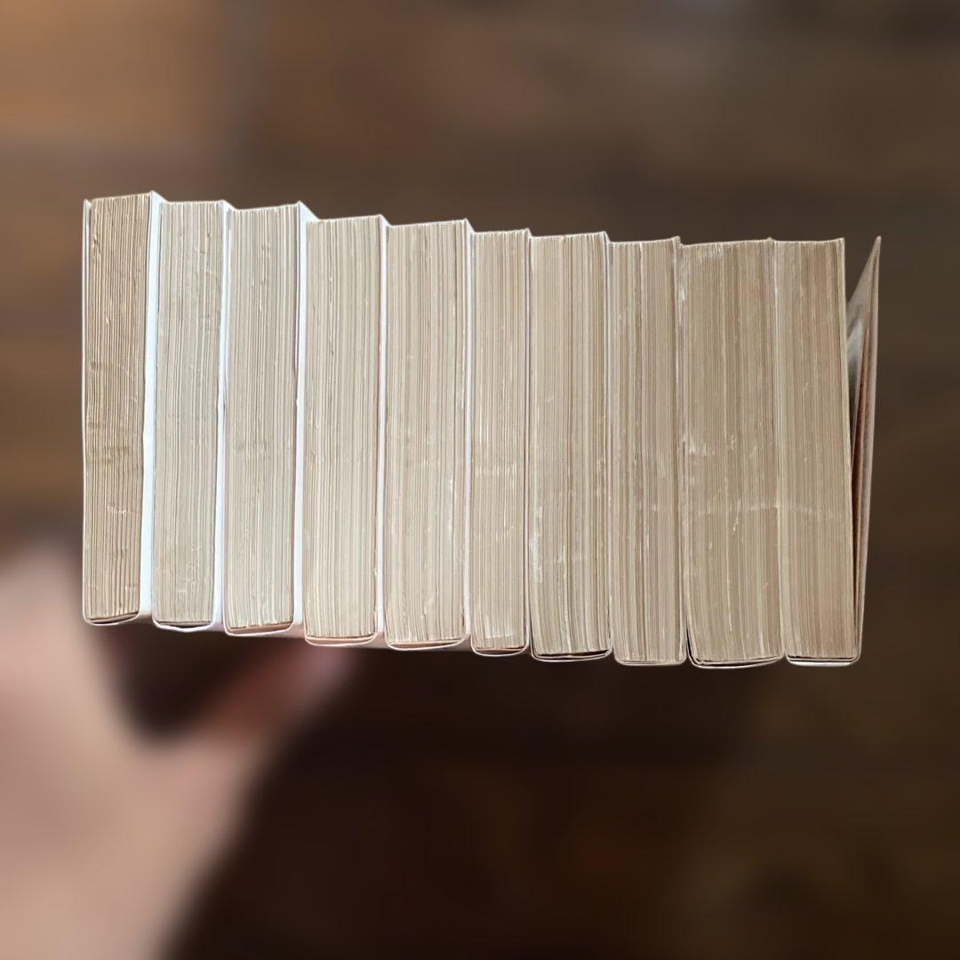 南総里見八犬伝 全10巻 岩波文庫