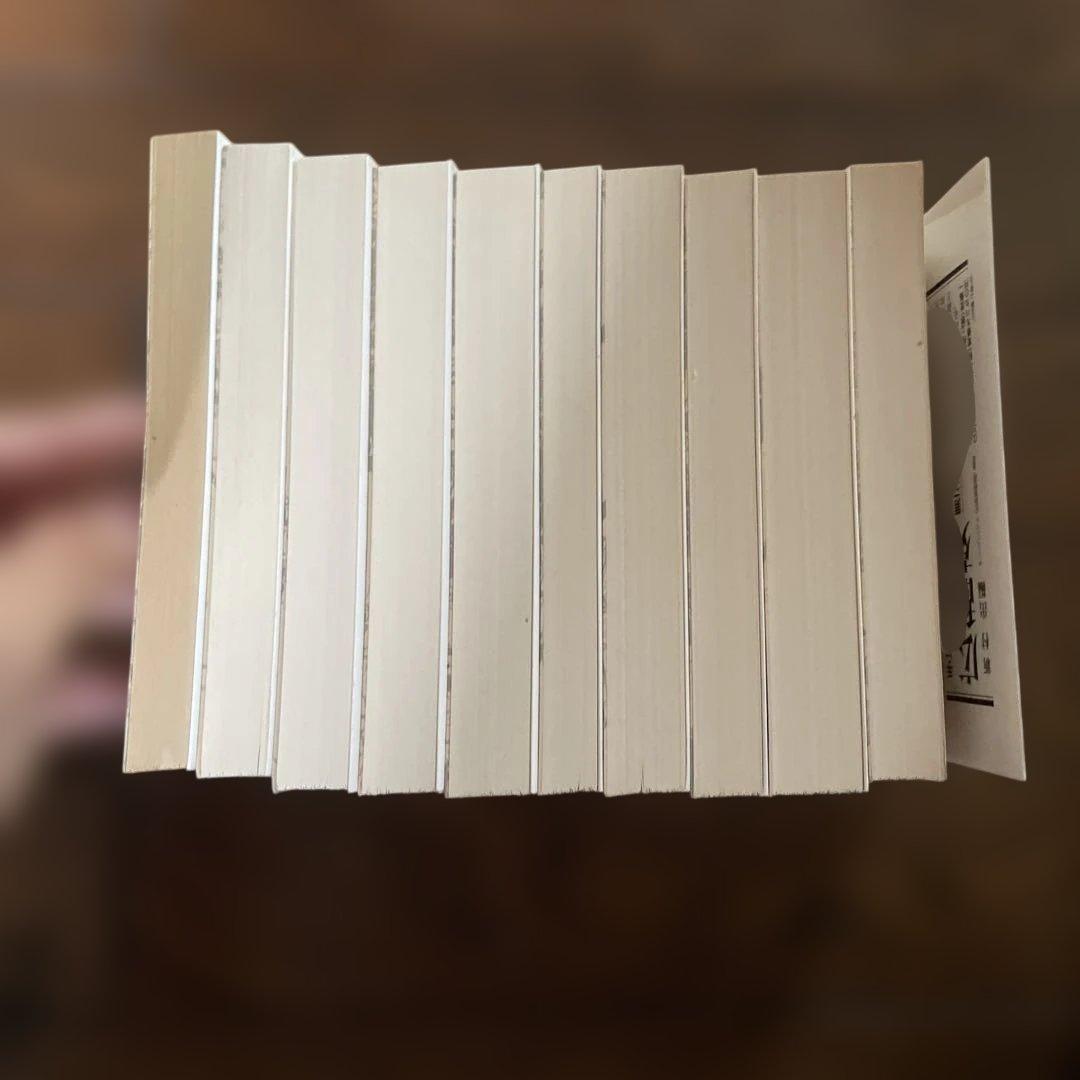 南総里見八犬伝 全10巻 岩波文庫