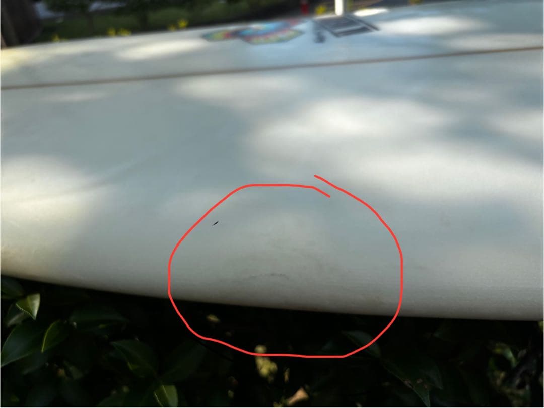 アルメリック チャンネルアイランド　スパムホエール spam whale