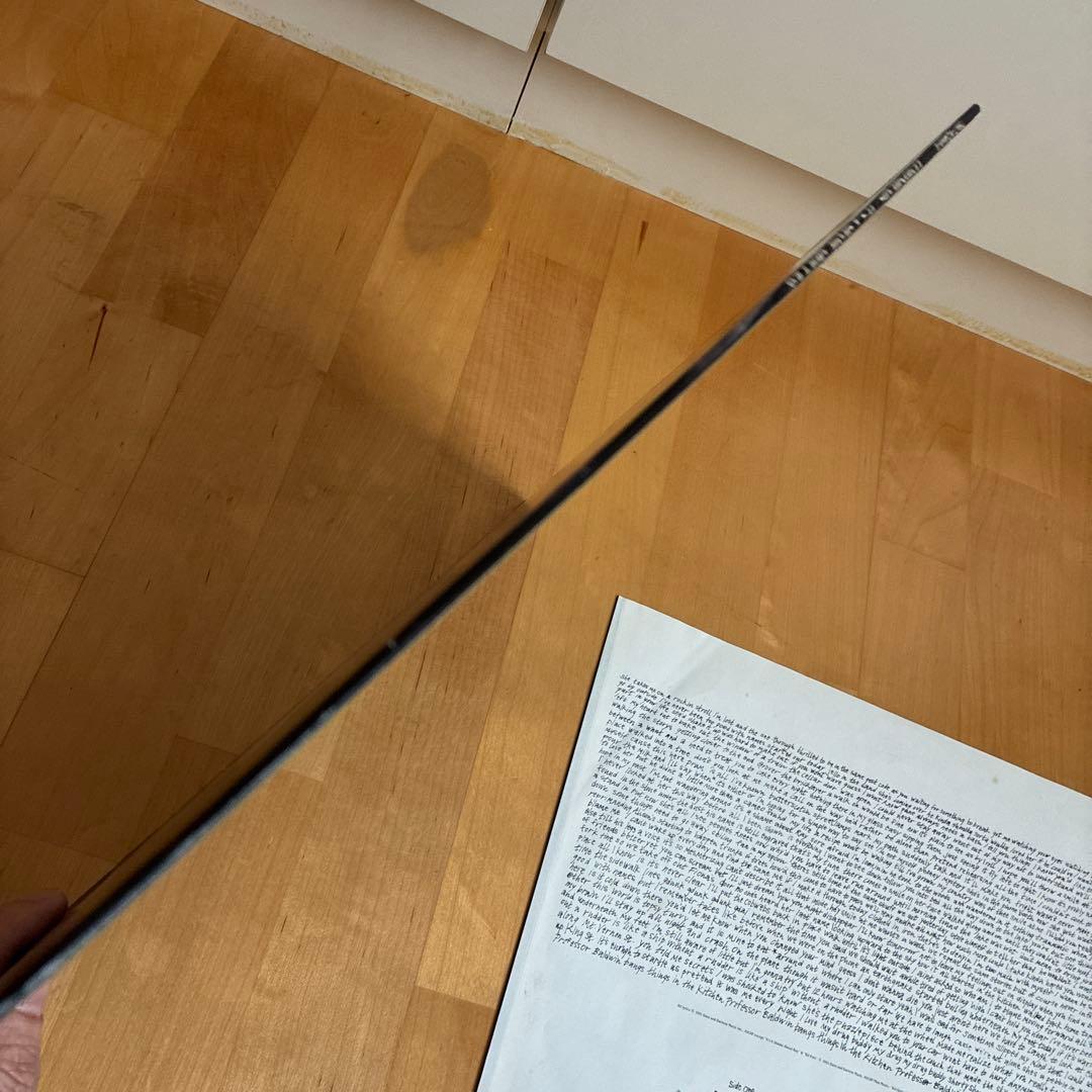 Lemonheads It's a shame about Ray レコード