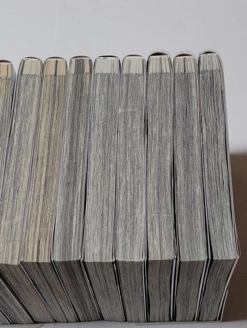 転生した大聖女は、聖女であることをひた隠す 1-12巻