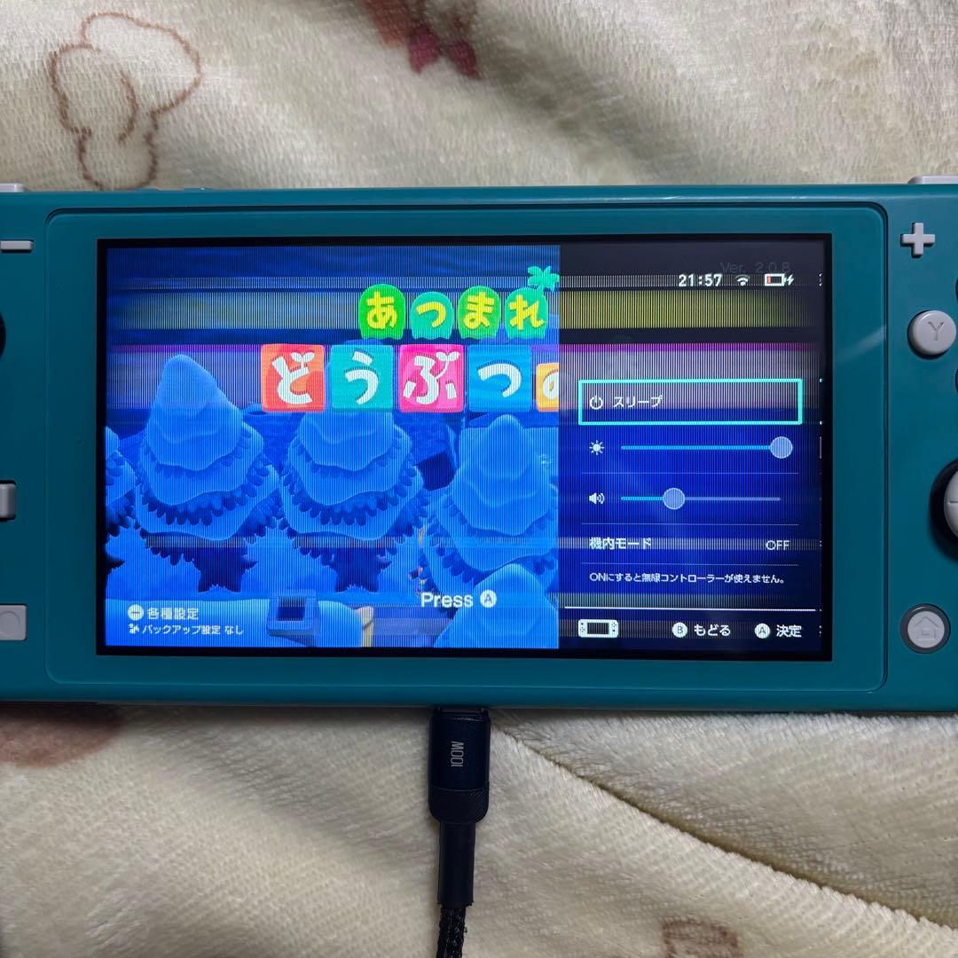 Switch Lite 本体 ジャンク品