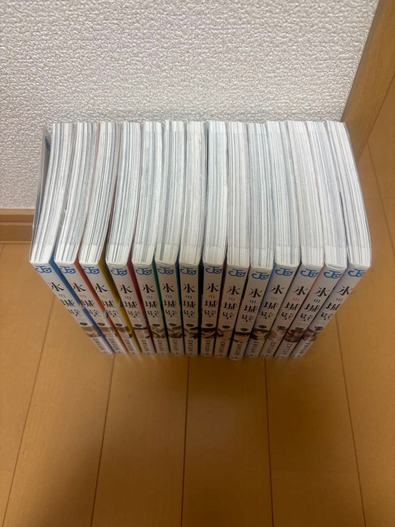 氷の城の城壁 全巻セット