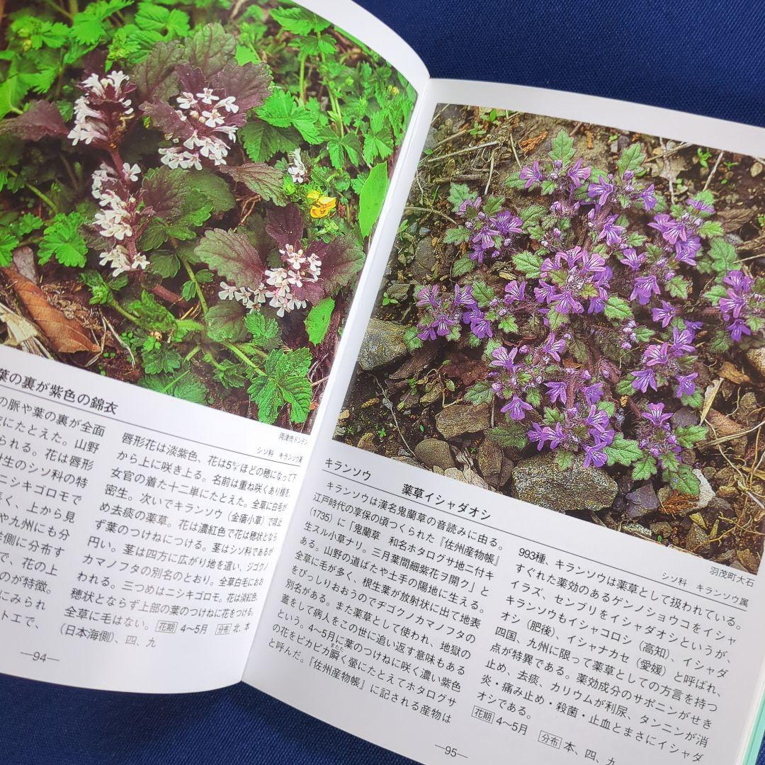 佐渡の花 携帯版 改訂版（植物の種類と色別の花の情報ガイドブック）オールカラー