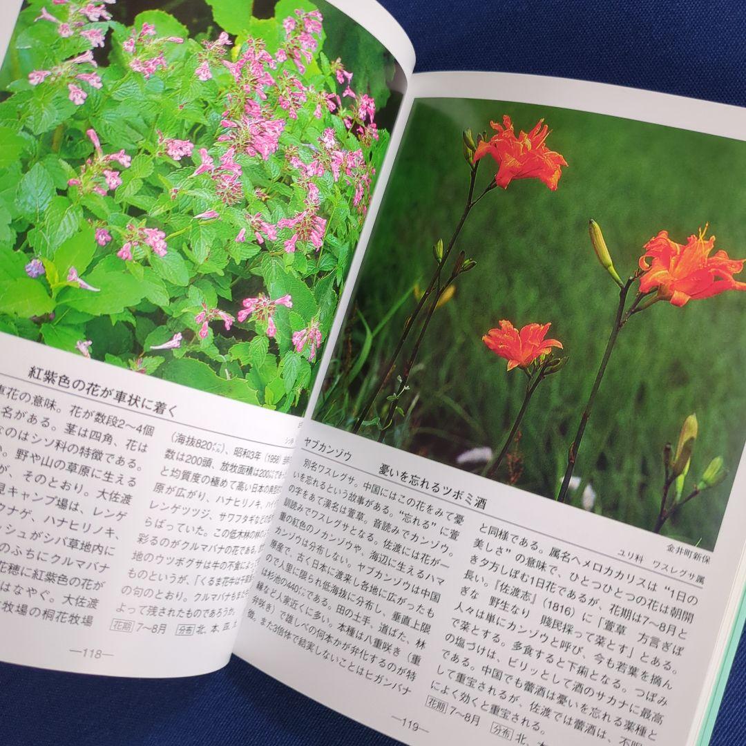 佐渡の花 携帯版 改訂版（植物の種類と色別の花の情報ガイドブック）オールカラー