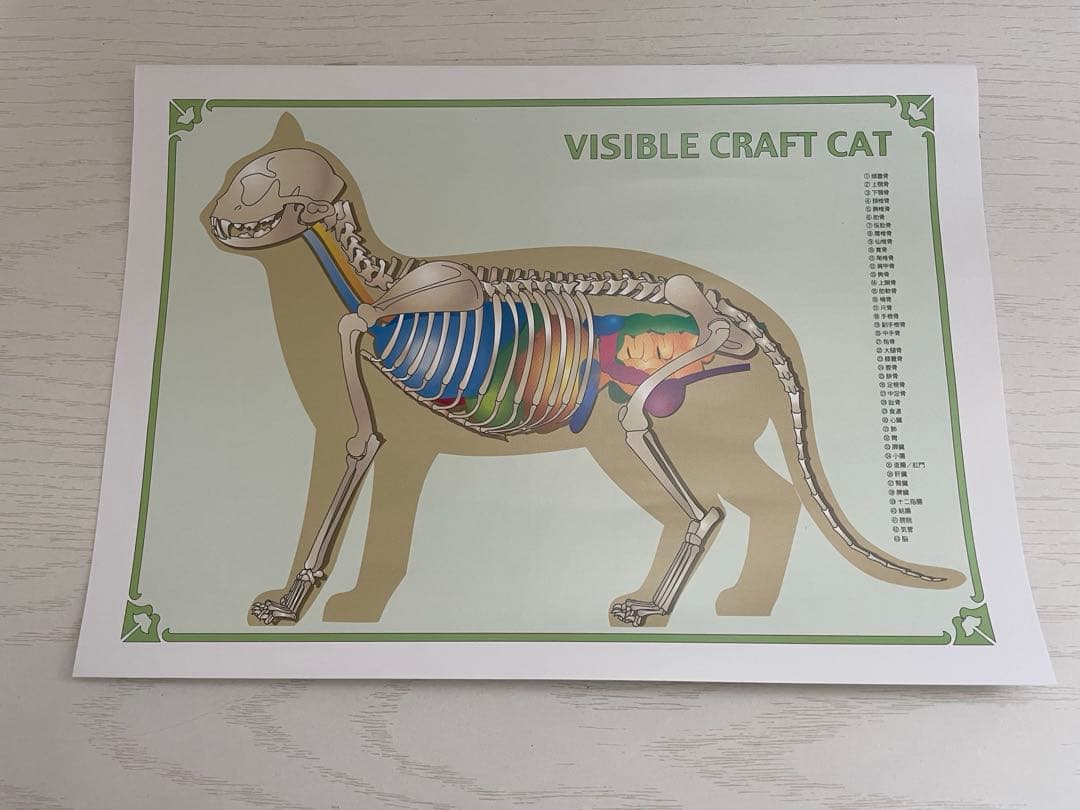 ドッグトレーナープロフェッショナル講座　ヒューマンアカデミー　テキスト DVD