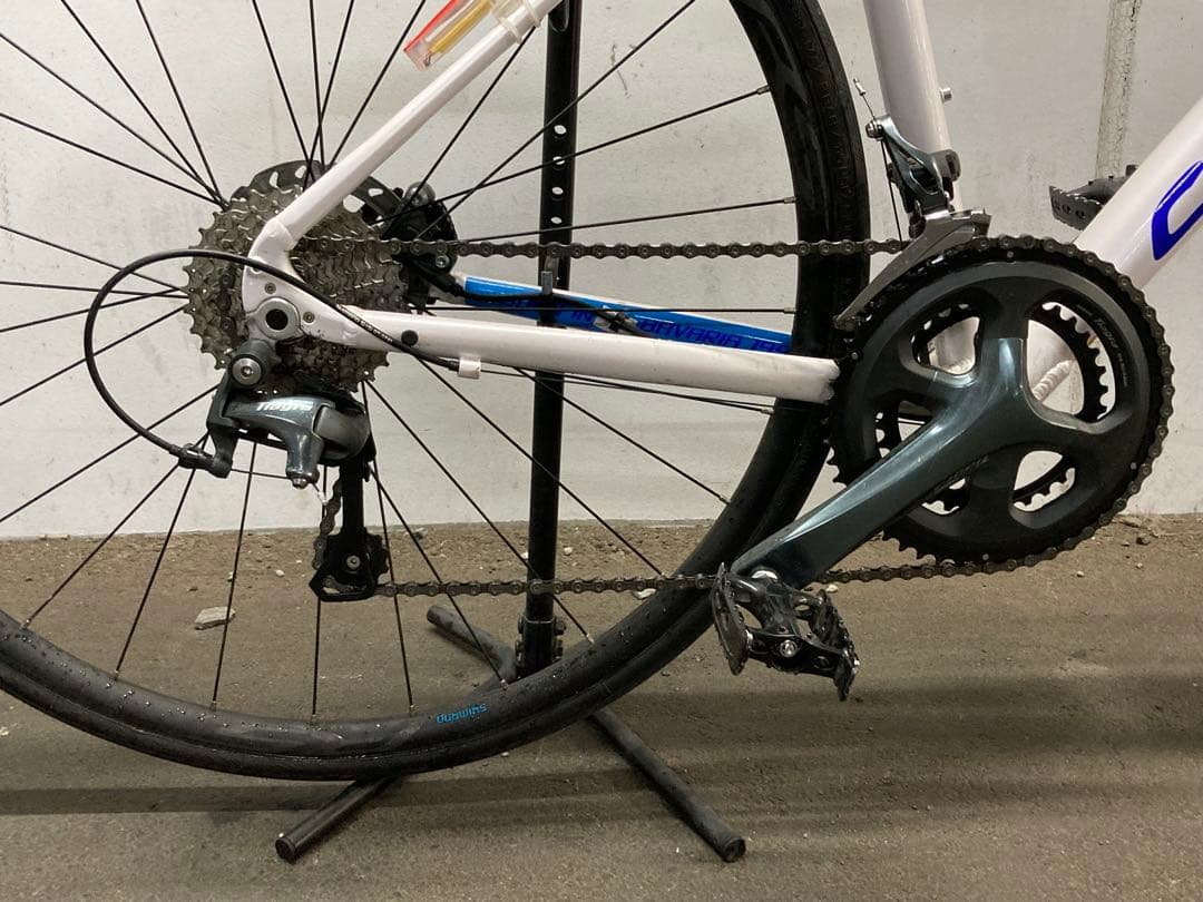 送料込 美品 2024 コラテック CORRATEC DOLOMITI DISC